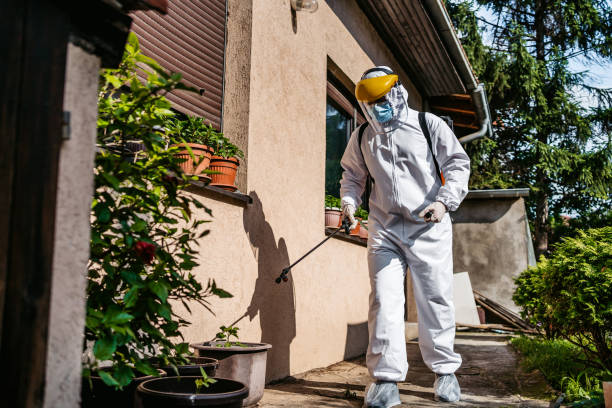 Best Cockroach Control Services  in Forest, OH