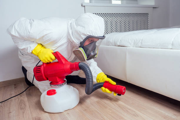 Best Ant Control Services  in Forest, OH