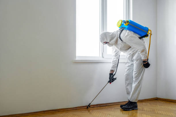 Best Residential Pest Control  in Forest, OH