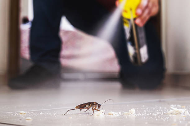 Best Pest Inspection Near Me  in Forest, OH